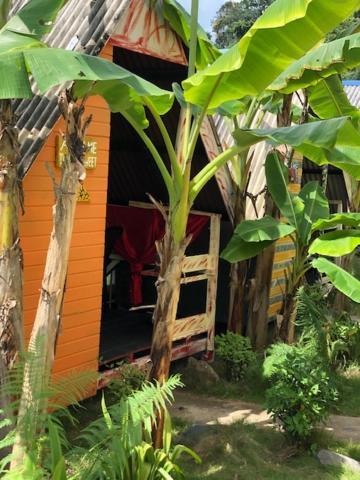 Beach Shack Chalet - Garden View Aframe Big Unit Kampong Juara Eksteriør billede